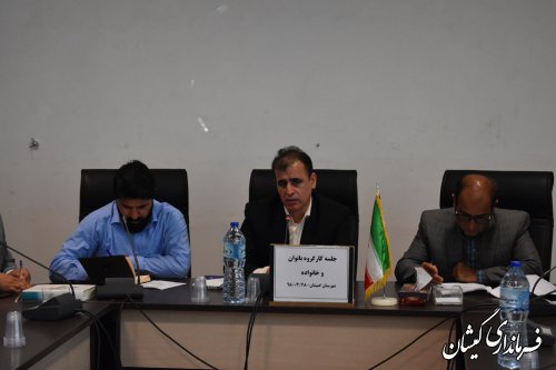 اولین جلسه کارگروه بانوان و خانواده در سال 98 تشکیل شد