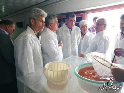 بازدید از کارگاه تولید بچه میگوی شهرستان و سرد خانه محک گمیشان