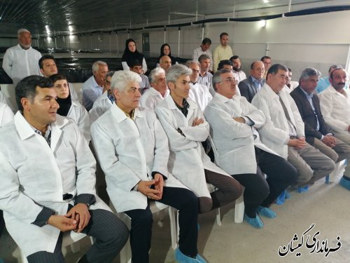 بازدید از کارگاه تولید بچه میگوی شهرستان و سرد خانه محک گمیشان