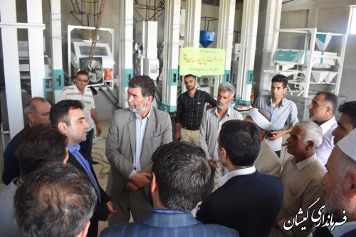 کارخانه پوست کن غلات با سرمایه گذاری اولیه 15 میلیارد ریال افتتاح شد