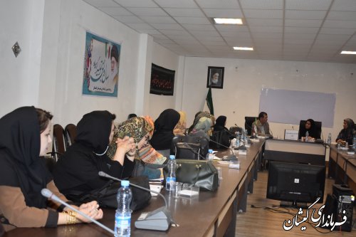 کارگاه آموزشی توانمندسازی بانوان در گمیشان برگزار شد