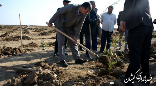 برگزاری پویش همگانی درخت کاری؛ برای ایرانی سبز  
