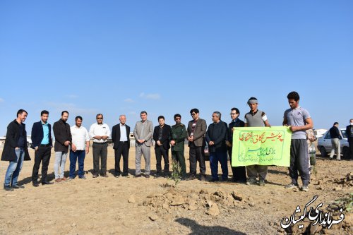 برگزاری پویش همگانی درخت کاری؛ برای ایرانی سبز  