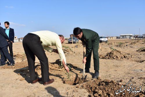 برگزاری پویش همگانی درخت کاری؛ برای ایرانی سبز  