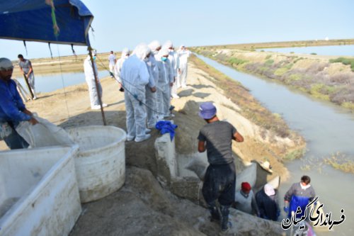 دستگاه قضا باتمام قوا در راستای حل مشکلات تولیدکنندگان اقدام خواهدنمود