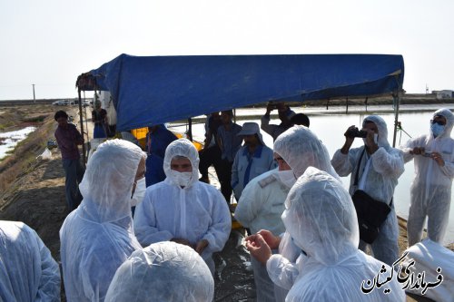 دستگاه قضا باتمام قوا در راستای حل مشکلات تولیدکنندگان اقدام خواهدنمود