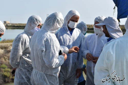 دستگاه قضا باتمام قوا در راستای حل مشکلات تولیدکنندگان اقدام خواهدنمود