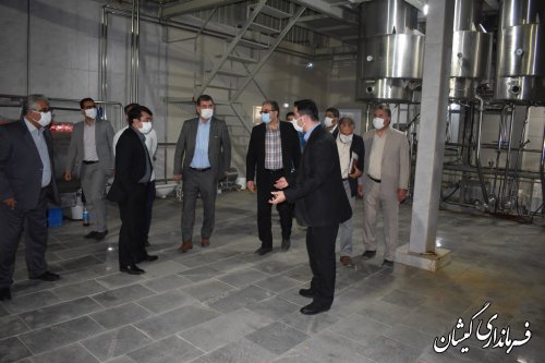 بازدید معاون هماهنگی امور اقتصادی استانداری گلستان از ناحیه صنعتی سیمین شهر
