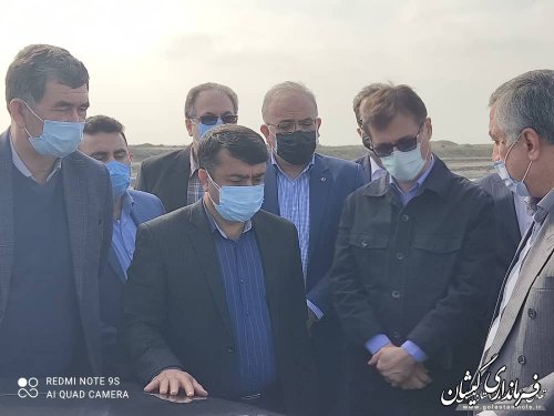 معاون وزیر تعاون، کار و رفاه اجتماعی از سایت میگوی گمیشان بازدید کرد