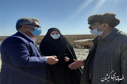 مشاور وزیر کشور از سایت میگوی گمیشان بازدید کرد