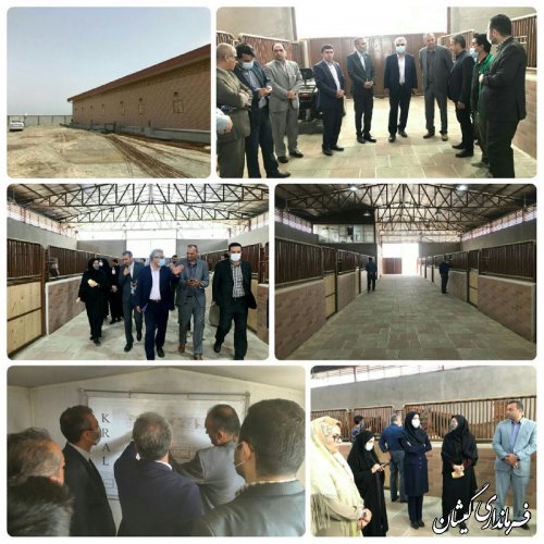 حضور مدیر کل سرپرست اداره کل میراث فرهنگی ، صنایع دستی و گردشگری گلستان در شهرستان گمیشان