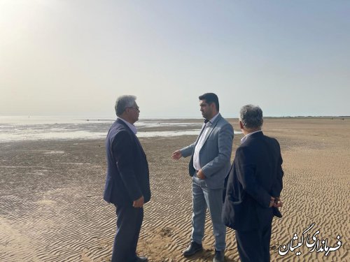حضور مدیرکل اقتصادی و سرمایه گذاری استانداری گلستان در شهرستان گمیشان