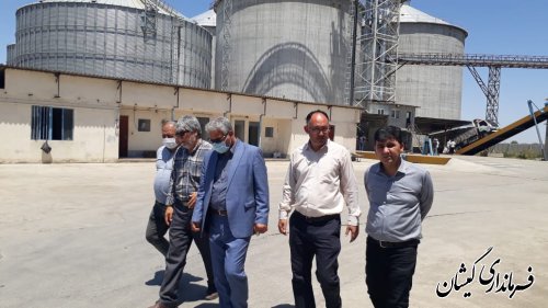 بازیدسرپرست فرمانداری گمیشان از انبارها و سیلوهای خرید تضمینی گندم 