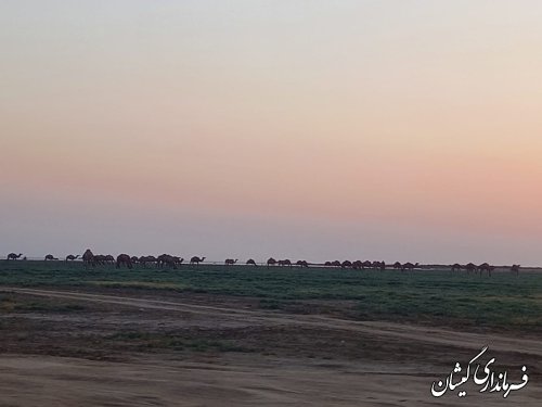بازدید استاندار گلستان از بیمارستان 64 تختخوابی و ساحل چارقلی شهرستان گمیشان 