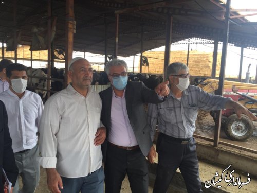 بازدید فرماندار گمیشان از یک واحد دامداری در بخش گلدشت 