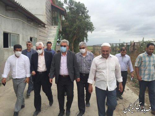بازدید فرماندار گمیشان از یک واحد دامداری در بخش گلدشت 