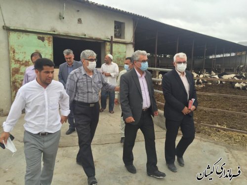 بازدید فرماندار گمیشان از یک واحد دامداری در بخش گلدشت 