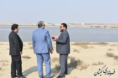 امکان سنجی تبدیل سایت میگو به جاذبه گردشگری