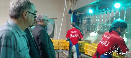 بازدید فرماندار گمیشان از کشتارگاه مرغ قرنجیک خواجه خان 