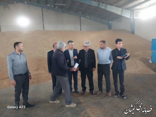 مراکز خرید گندم در شهرستان بدون مشکل محصولات کشاورزان را تحویل می گیرند 