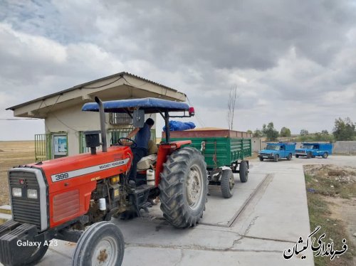 مراکز خرید گندم در شهرستان بدون مشکل محصولات کشاورزان را تحویل می گیرند 