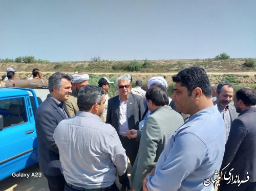 مراسم رها سازی بچه ماهیان استخوانی و خاویاری در رودخانه گرگانرود شهرستان گمیشان برگزار شد