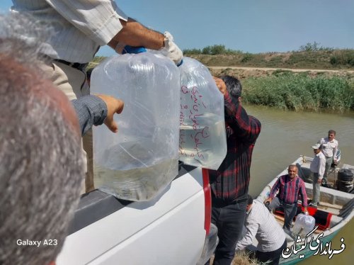 مراسم رها سازی بچه ماهیان استخوانی و خاویاری در رودخانه گرگانرود شهرستان گمیشان برگزار شد